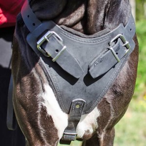 Шлейка для немецкого дога «Working Dog»